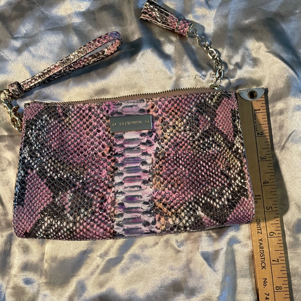 Cute Brahmin clutch